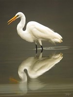 Reflection Fine Art Print