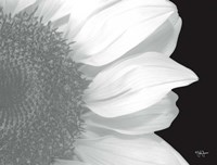 Beautiful Entrance Fine Art Print