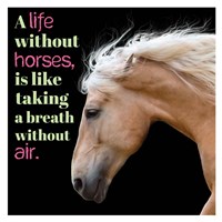 Horse Quote 7 Fine Art Print