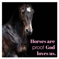 Horse Quote 8 Fine Art Print