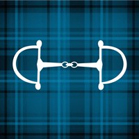 Horse Bit - Blue Checkered Fine Art Print