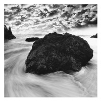 Washed Ashore Fine Art Print