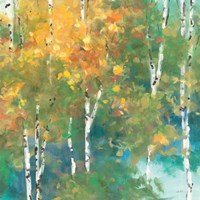 Confetti I Fine Art Print