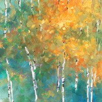 Confetti II Fine Art Print