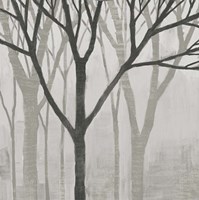 Spring Trees Greystone II Fine Art Print