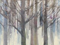 Forest Light Fine Art Print