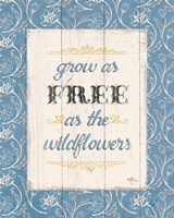 Blooming Season IV Framed Print