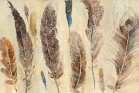 Feather Study Fine Art Print