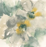 Silver Quince I Fine Art Print