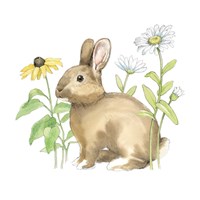 Wildflower Bunnies II Sq Fine Art Print
