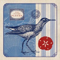 Sea Bird I Fine Art Print