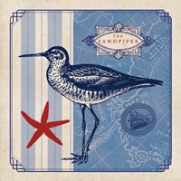 Sea Bird II Fine Art Print