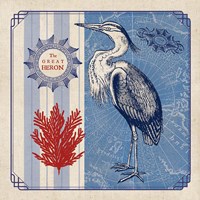 Sea Bird IV Framed Print