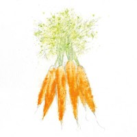 Garden Delight VIII Framed Print