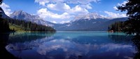 Emerald Lake Reflections, Alberta, Canada Fine Art Print