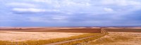 Endless Wheat Fields, Montana Fine Art Print