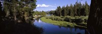 River at Don McGregor Viewpoint, Oregon Fine Art Print