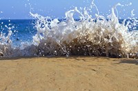 Oahu Beach, Hawaii III Fine Art Print