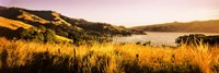 Akaroa Harbour, Banks Peninsula, New Zealand Fine Art Print