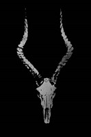 Silver Foil Rustic Mount II on Black - Metallic Foil Framed Print