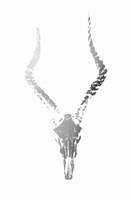 Silver Foil Rustic Mount II on White - Metallic Foil Framed Print