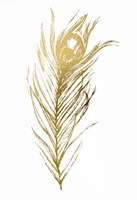 Gold Foil Feather I - Metallic Foil Fine Art Print