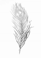 Silver Foil Feather II - Metallic Foil Fine Art Print