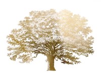 Gold Foil Elephant Tree - Metallic Foil Fine Art Print