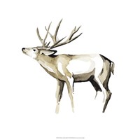 Watercolor Woodland I Fine Art Print