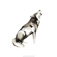 Watercolor Woodland II Fine Art Print