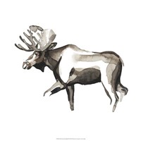 Watercolor Woodland III Fine Art Print