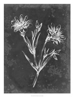 Slate Floral IV Framed Print