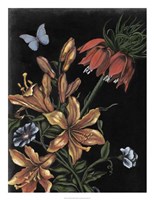 Dark Floral II Fine Art Print