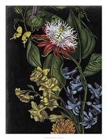 Dark Floral III Fine Art Print