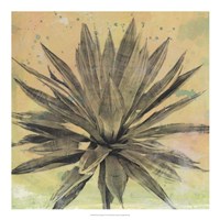 Desert Dreams I Fine Art Print