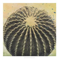 Desert Dreams III Fine Art Print