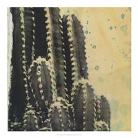 Desert Dreams IV Framed Print