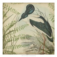 Heron & Ferns I Fine Art Print