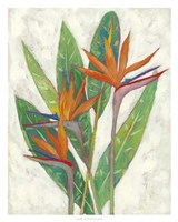 Paradise Vacation I Fine Art Print