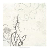 Marginal Boundary II Fine Art Print