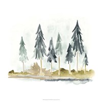 Lake Shore II Fine Art Print