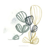 Abstract Sea Fan III Fine Art Print