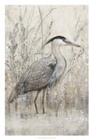 Hunt in Shallow Waters I Fine Art Print