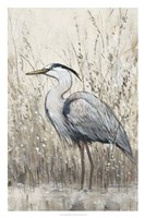 Hunt in Shallow Waters II Fine Art Print