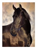 TBD (black horse) Fine Art Print