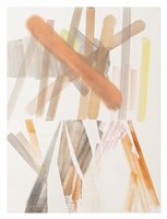 Landed Fine Art Print