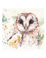 Australian Barn Owl Fine Art Print