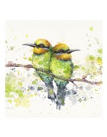 Family (Rainbow Bee Eaters) Fine Art Print