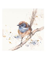 Lickity Split Fine Art Print