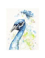 The Bold & The Beautiful Fine Art Print
